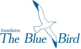 bird-logo